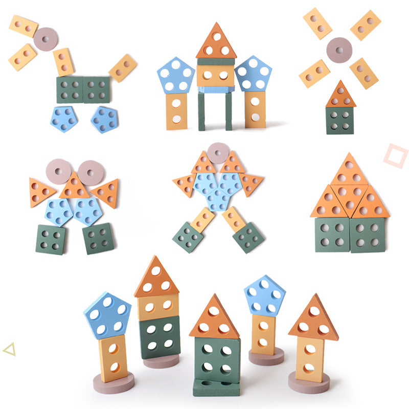 Montessori Wooden Geometric Shape Matching