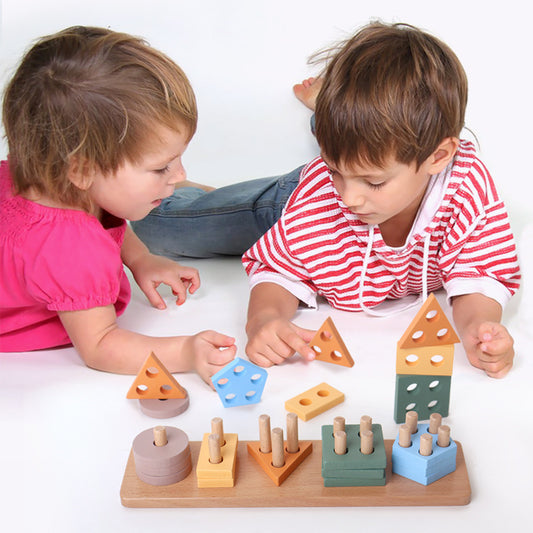 Montessori Wooden Geometric Shape Matching